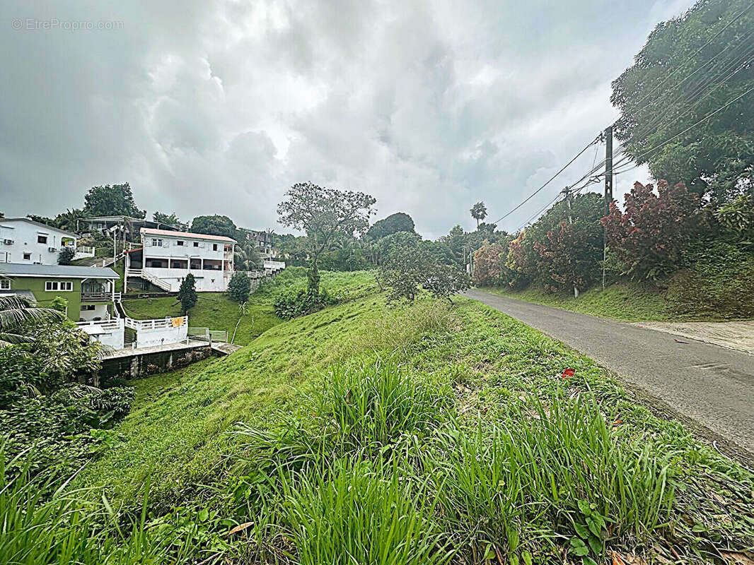 Terrain à LE LORRAIN