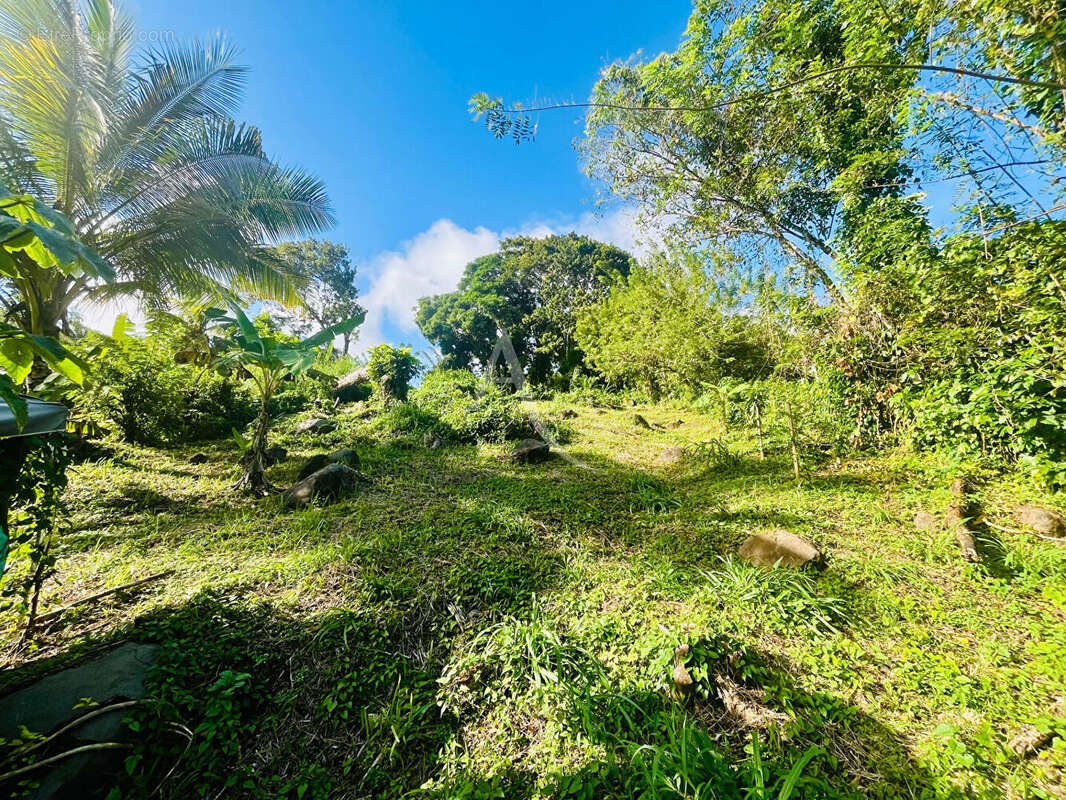 Terrain à SAINTE-LUCE