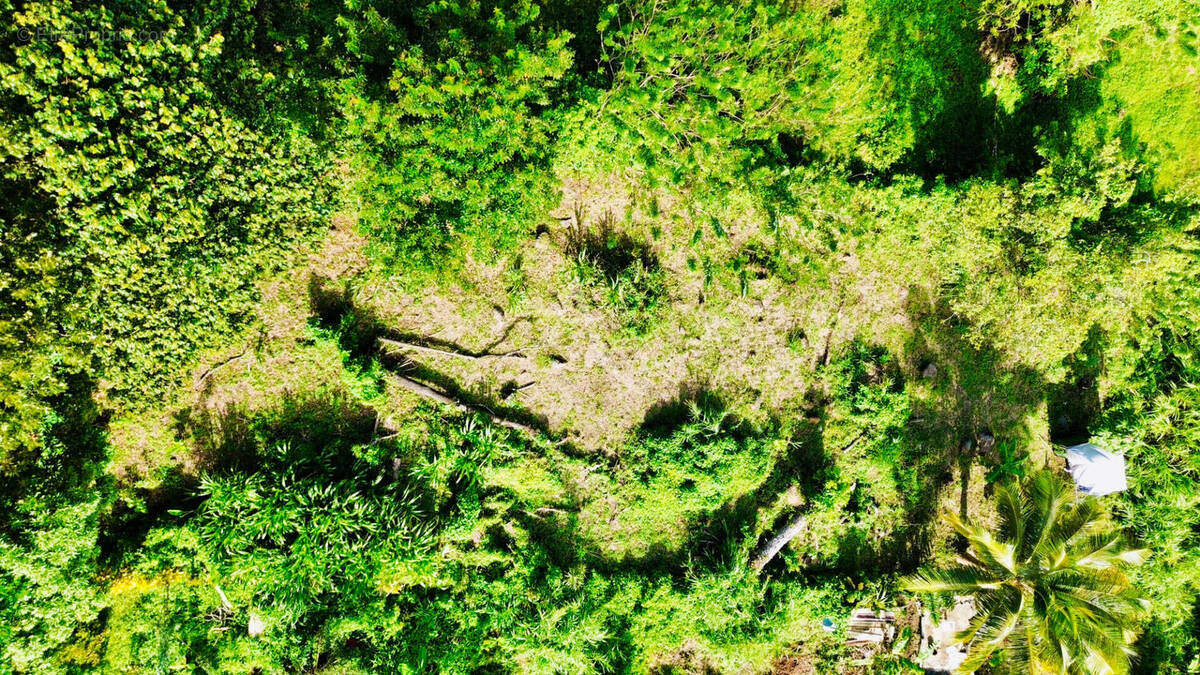 Terrain à SAINTE-LUCE