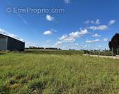 Terrain à MONCHECOURT