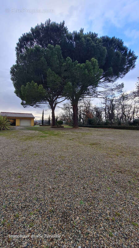 Maison à LA ROCHE-DE-GLUN