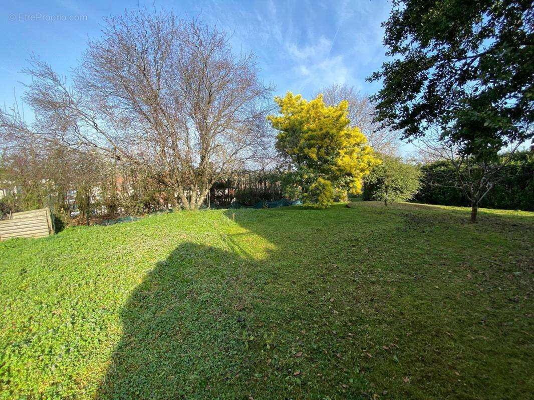 Maison à L'ISLE-JOURDAIN