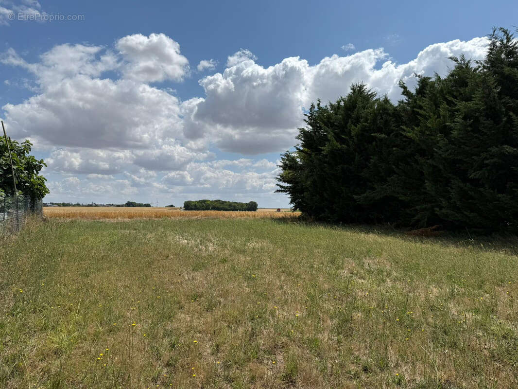 Terrain à ERCEVILLE