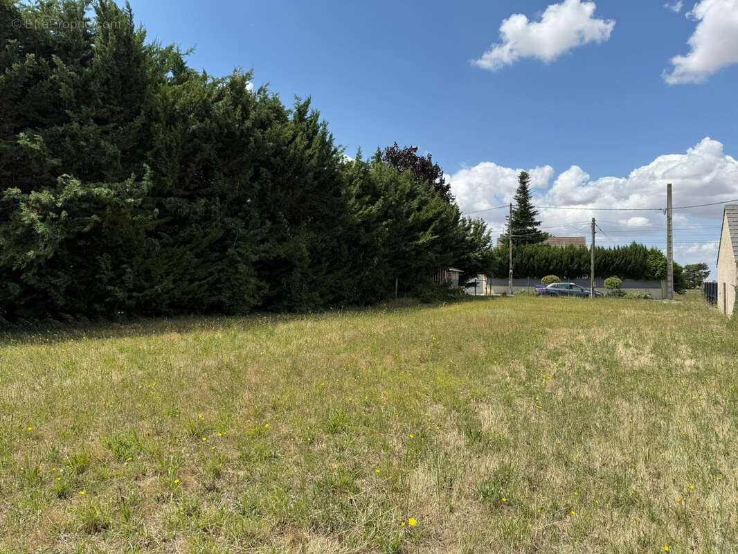 Terrain à ERCEVILLE