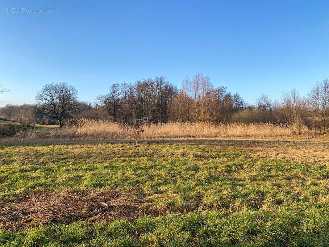 Terrain à MOFFANS-ET-VACHERESSE