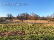 Terrain à MOFFANS-ET-VACHERESSE