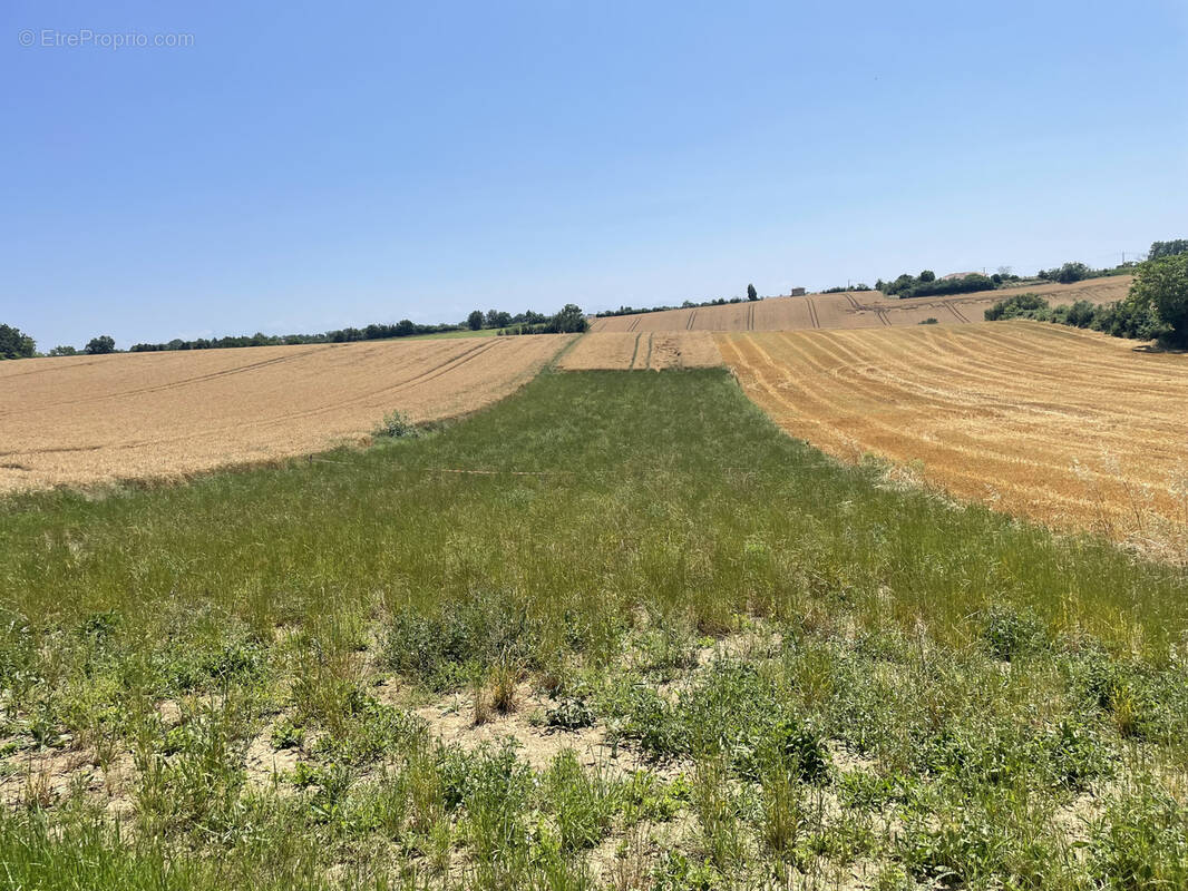 Terrain à SAINT-LYS