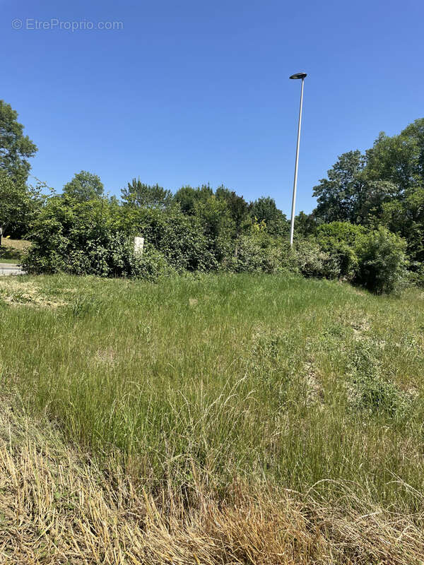 Terrain à SAINT-LYS