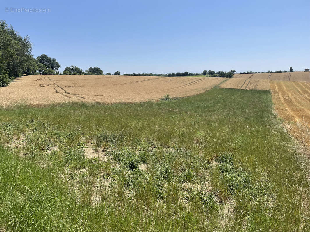 Terrain à SAINT-LYS