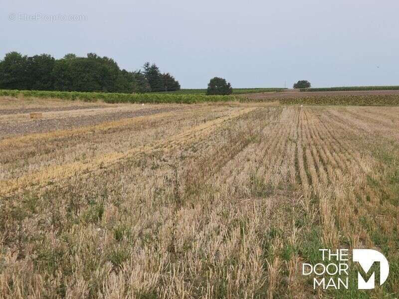 Terrain à PERIGNAC