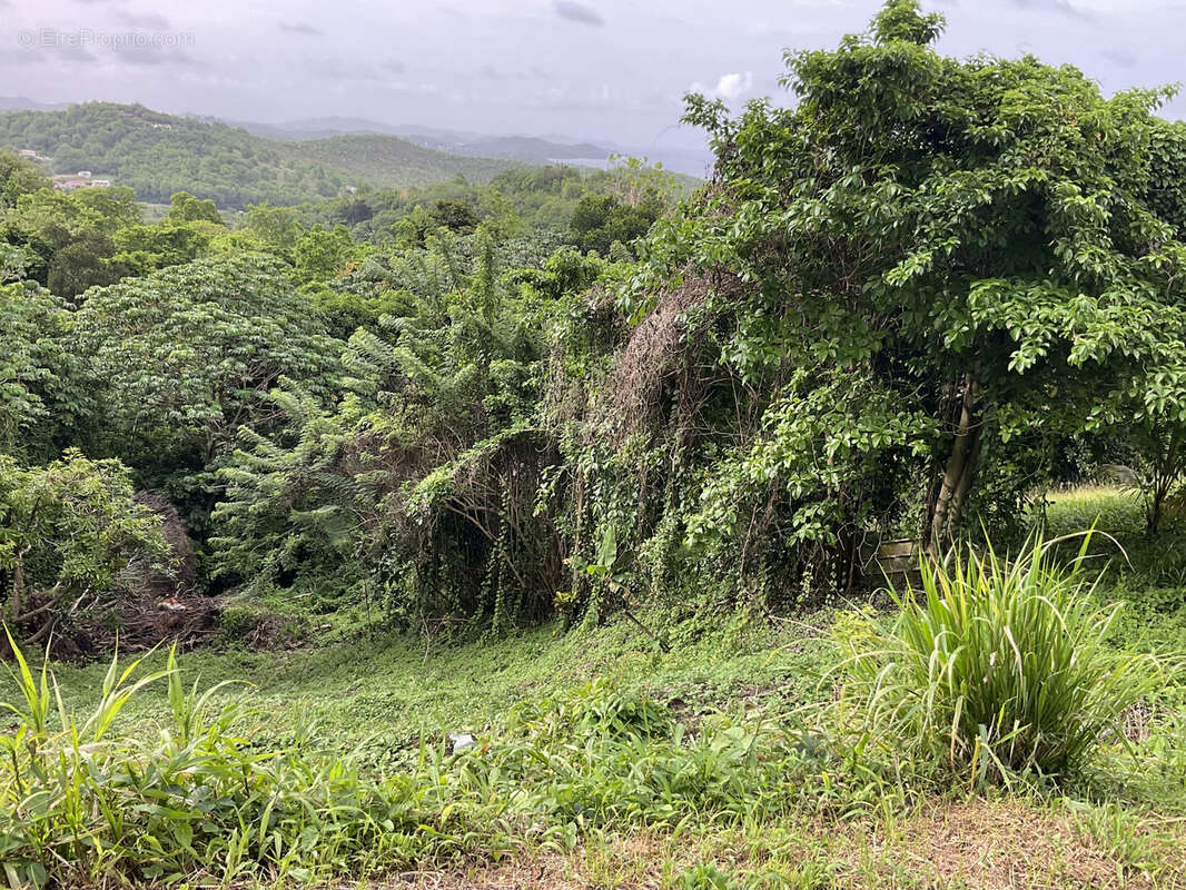 Terrain à LE FRANCOIS