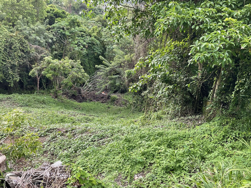 Terrain à LE FRANCOIS