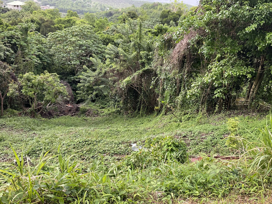 Terrain à LE FRANCOIS