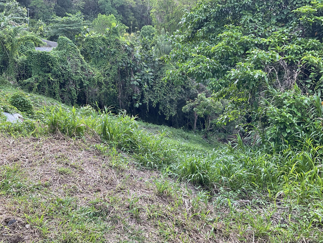 Terrain à LE FRANCOIS