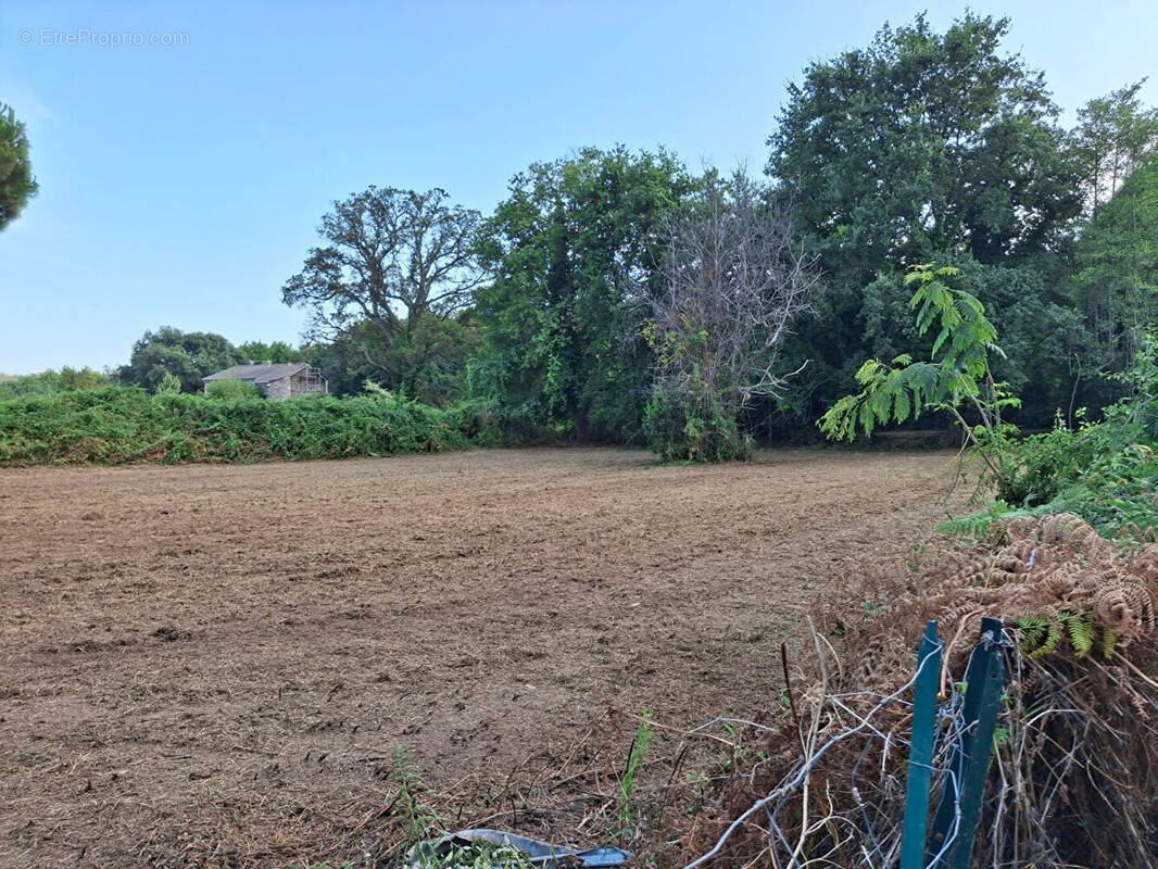 Terrain à SANTA-LUCIA-DI-MORIANI