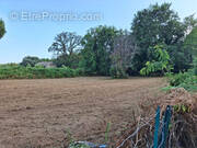 Terrain à SANTA-LUCIA-DI-MORIANI