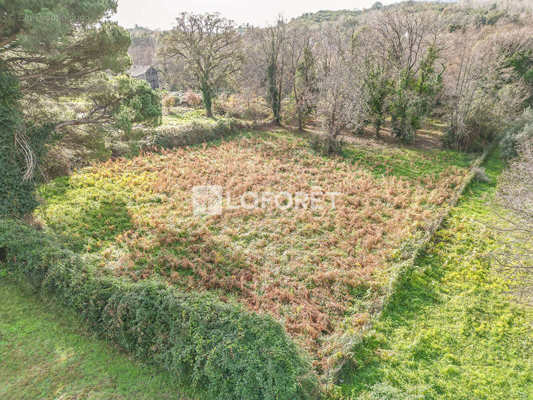 Terrain à SANTA-LUCIA-DI-MORIANI