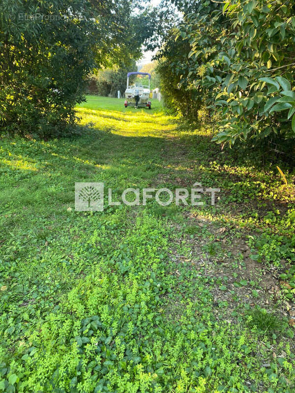 Terrain à SANTA-LUCIA-DI-MORIANI