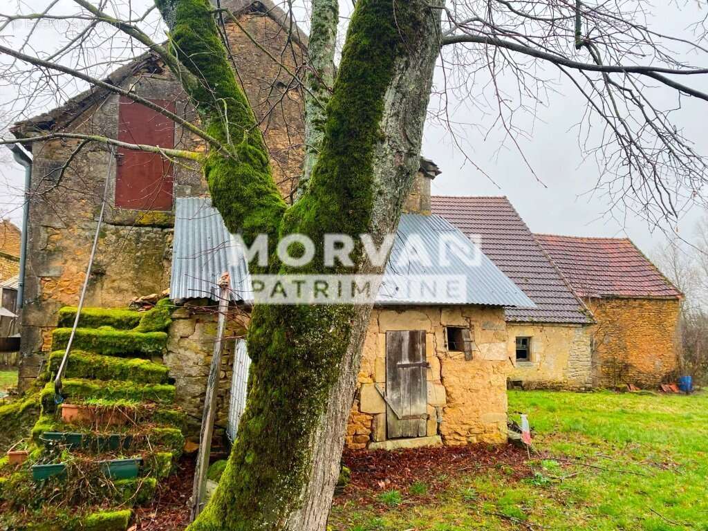 Maison à SAINTE-MARIE