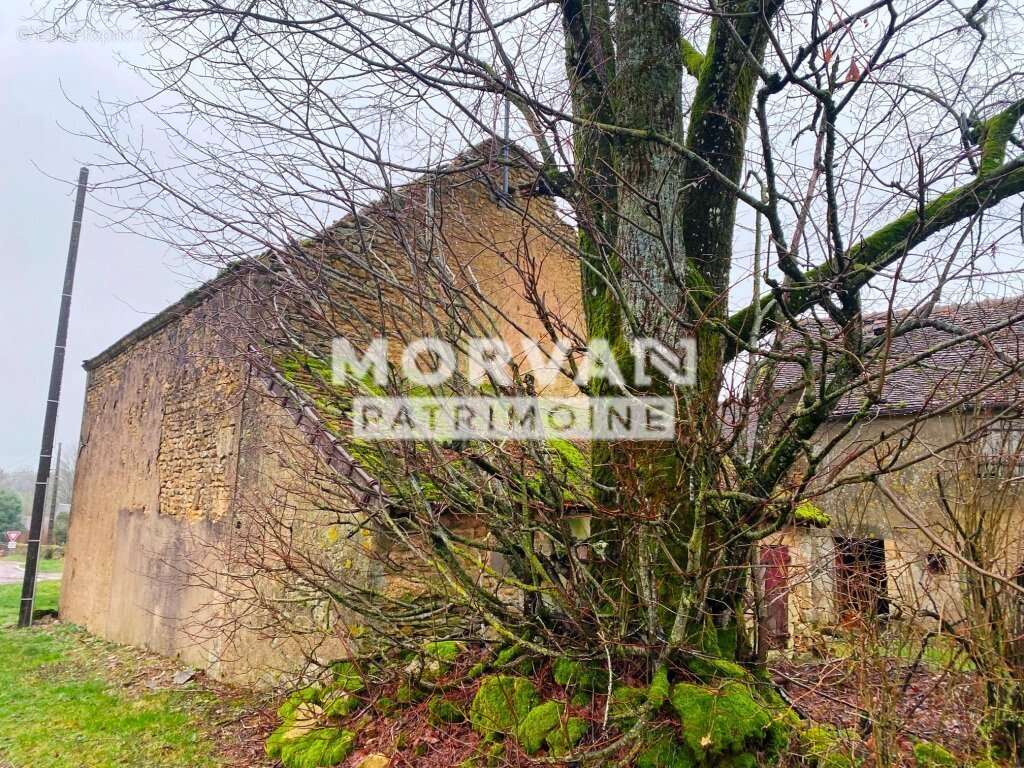 Maison à SAINTE-MARIE