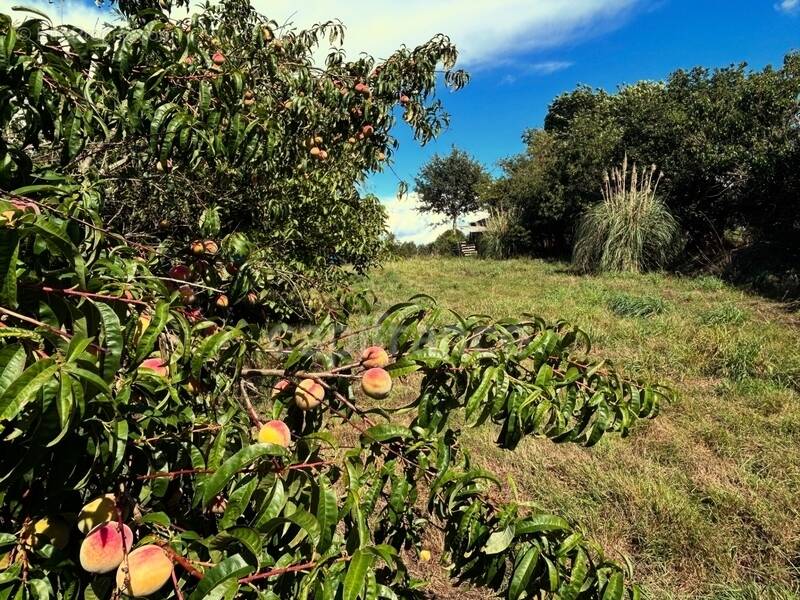 Terrain à BAIN-DE-BRETAGNE