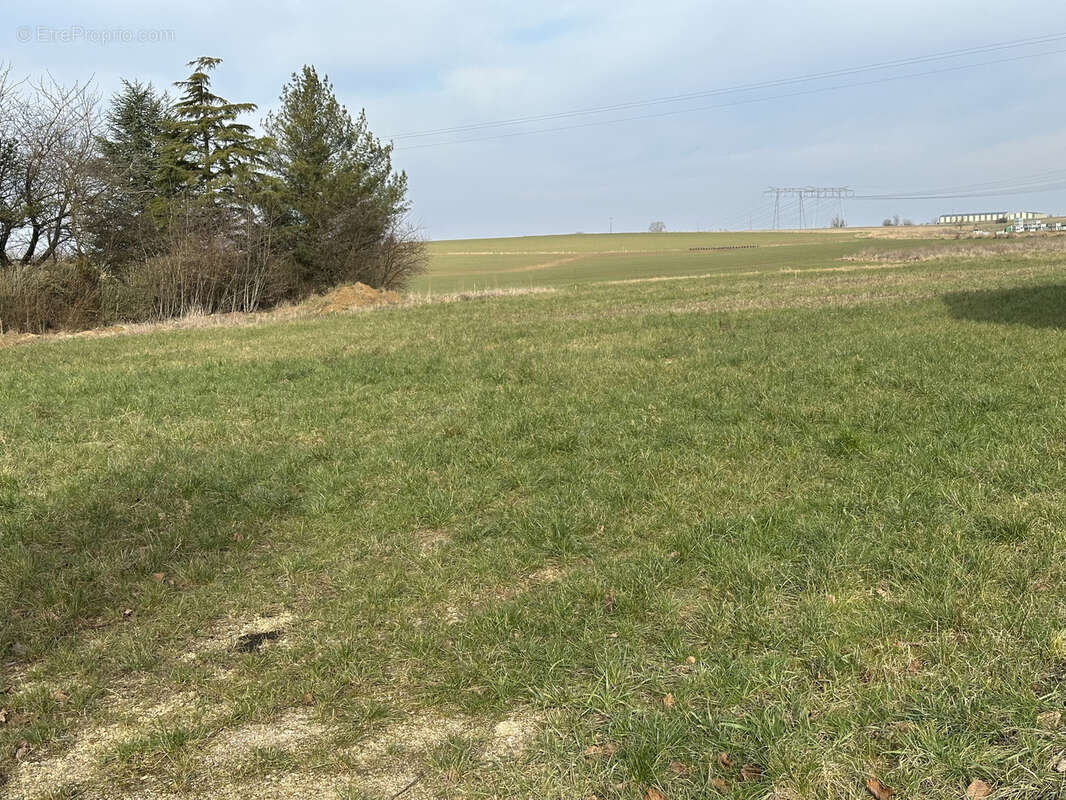 Terrain à SERVIGNY-LES-SAINTE-BARBE