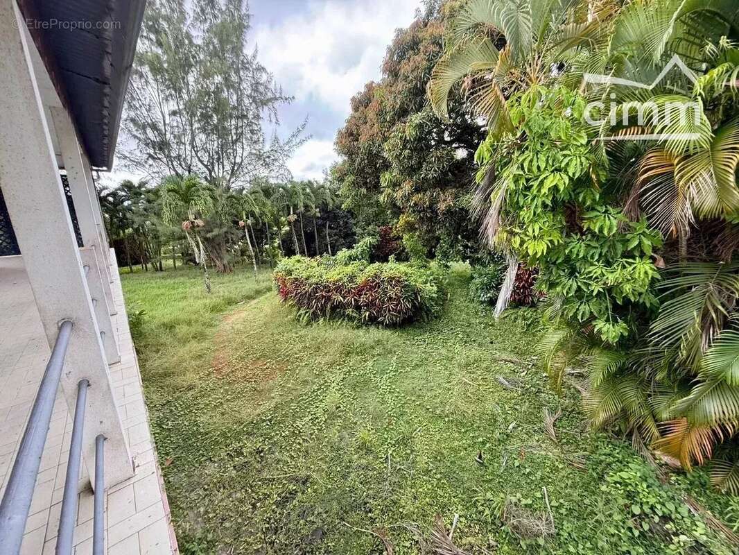 Maison à SAINT-JOSEPH