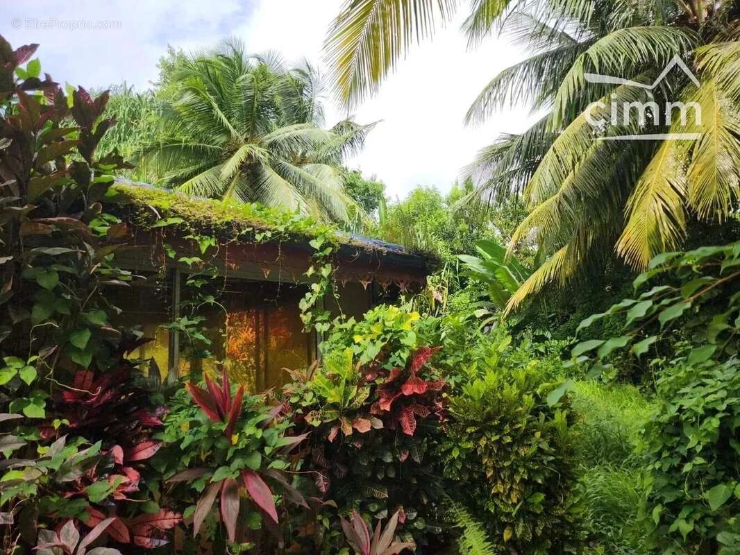 Maison à SAINT-JOSEPH