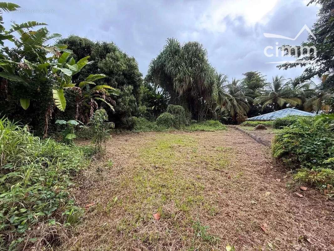 Maison à SAINT-JOSEPH