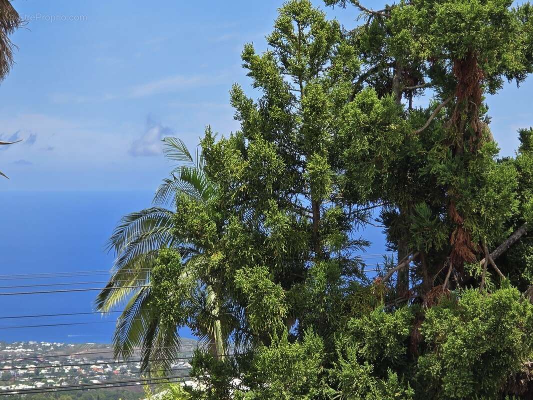 Terrain à SAINT-PAUL