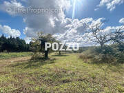 Terrain à EQUEMAUVILLE