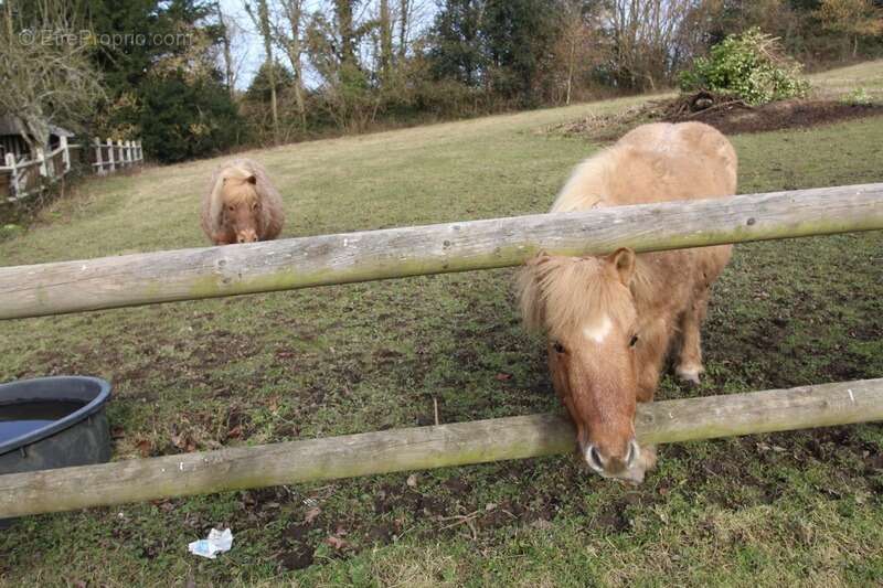 Maison à PONT-L'EVEQUE