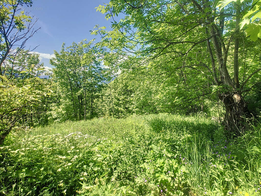 Maison à SAINTE-FOY-TARENTAISE