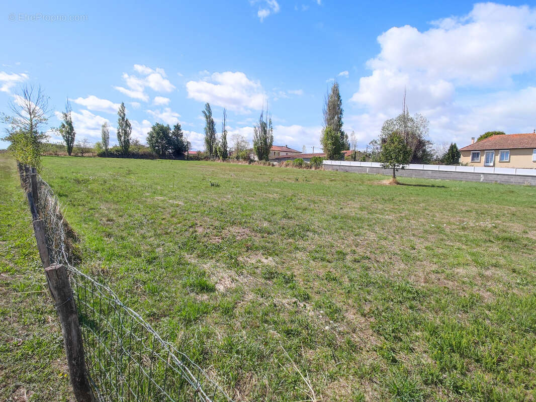 Terrain à VERGONGHEON