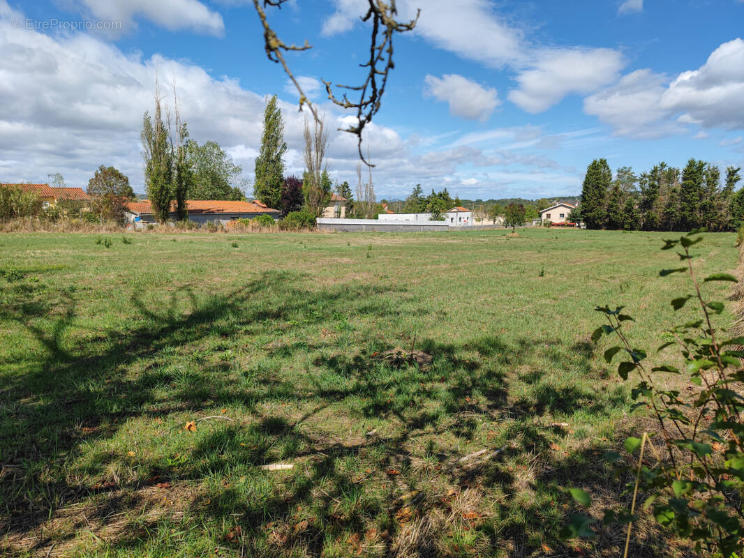 Terrain à VERGONGHEON