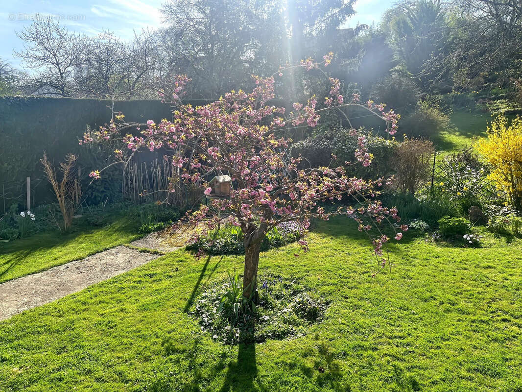 Autre à JOUY-MAUVOISIN