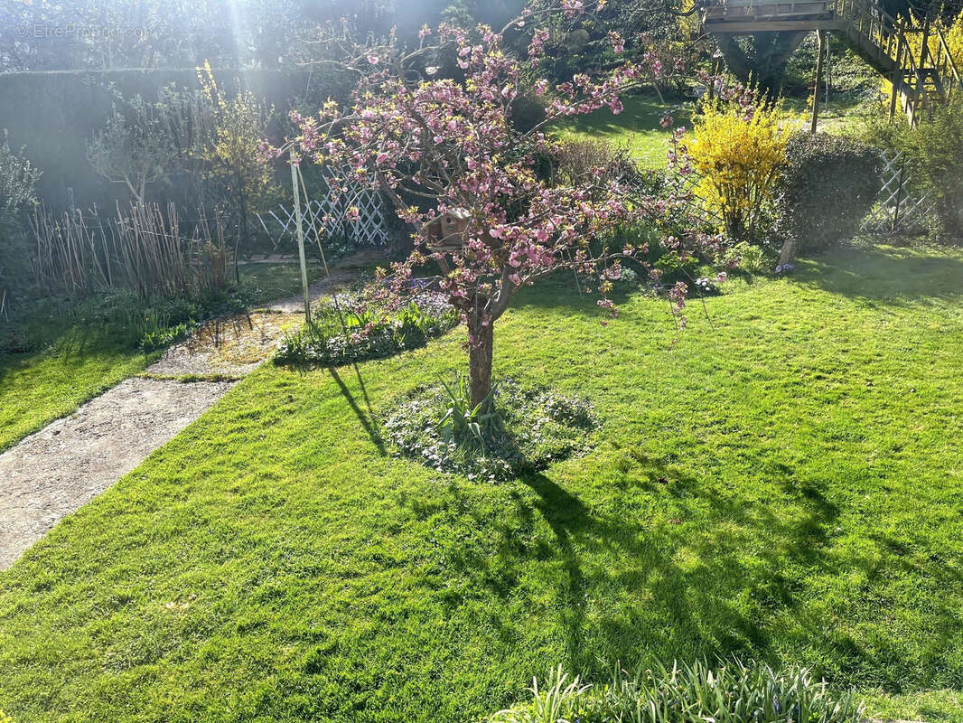 Autre à JOUY-MAUVOISIN