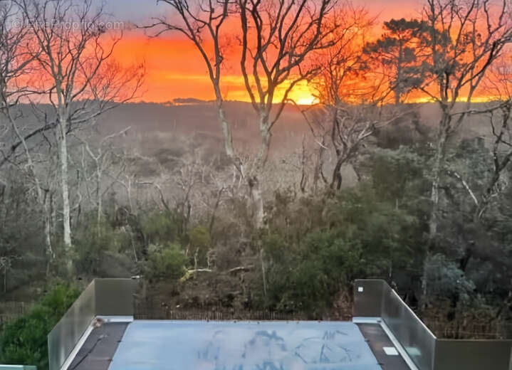 Maison à LE BOUSCAT