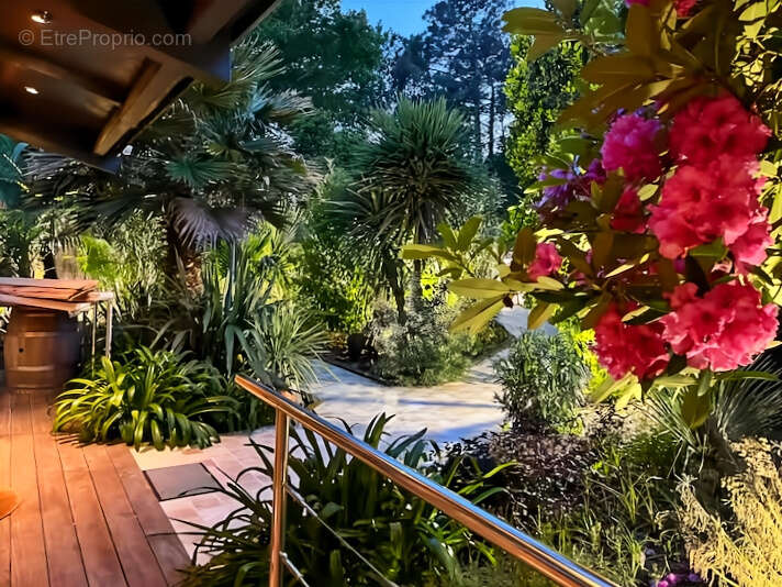 Maison à LE BOUSCAT