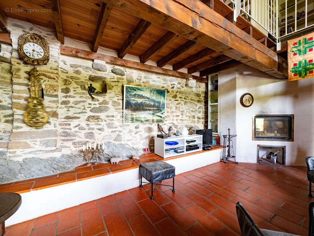 Maison à PRATS-DE-MOLLO-LA-PRESTE