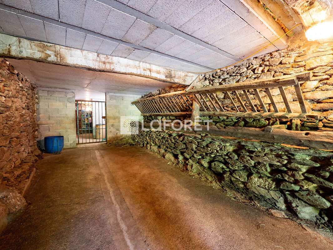 Maison à PRATS-DE-MOLLO-LA-PRESTE