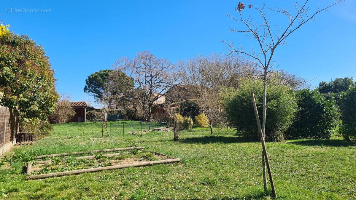 Photo 1 - Terrain à SEILH