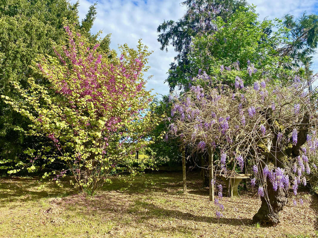 Maison à SAINT-PAUL-DE-SERRE