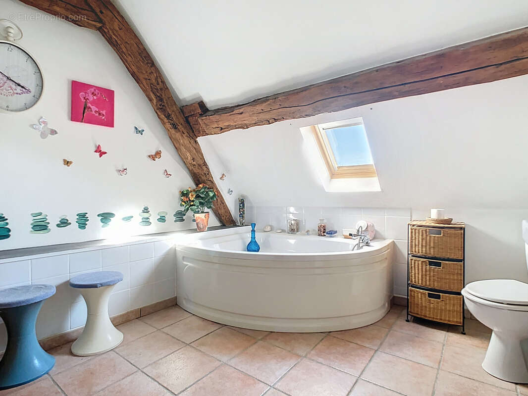 Maison à MONTMIRAIL