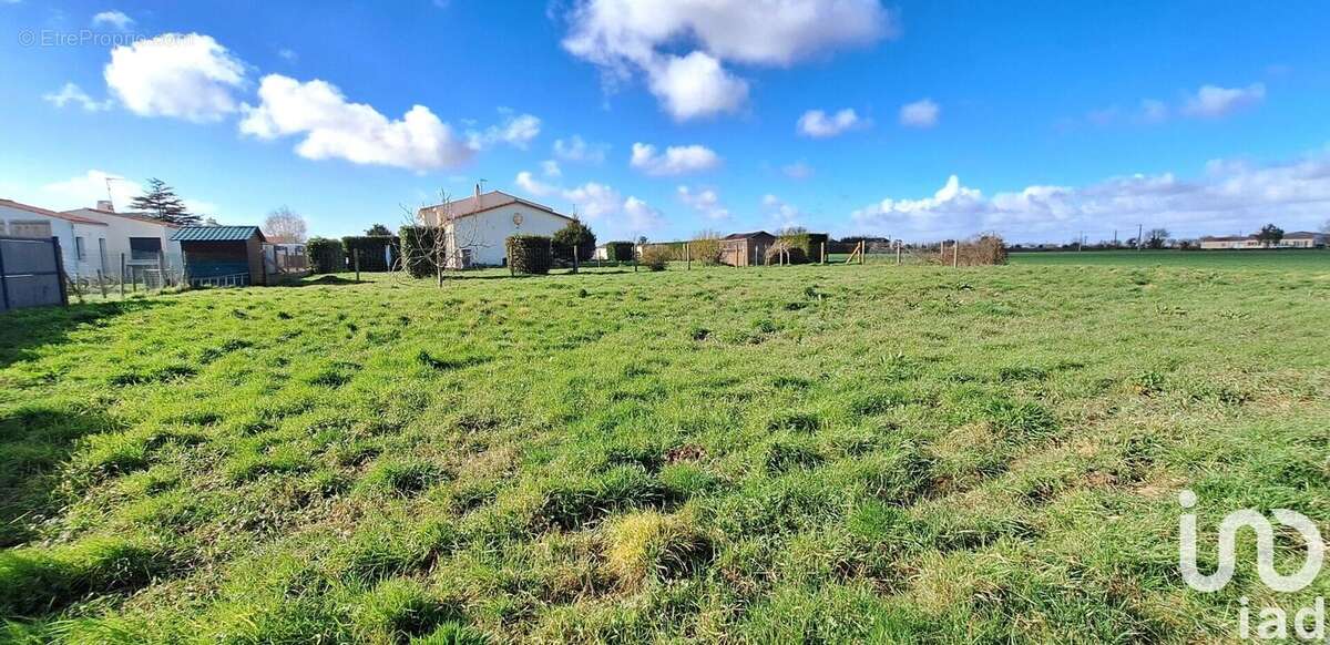 Photo 2 - Terrain à SAINT-VINCENT-SUR-JARD