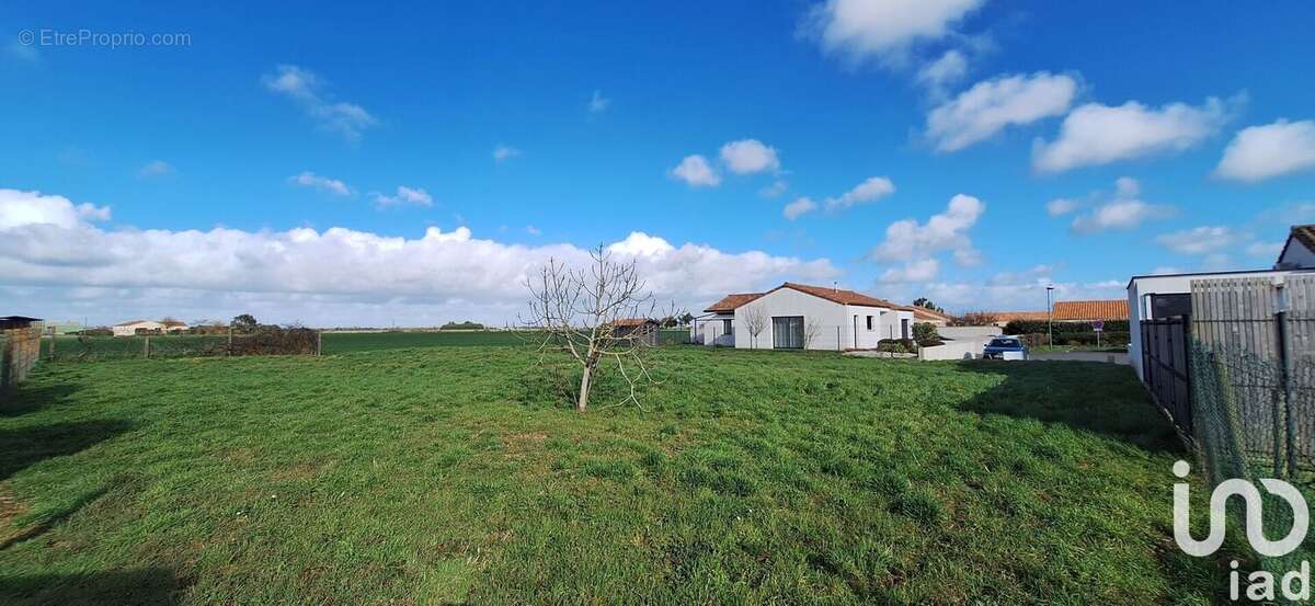 Photo 3 - Terrain à SAINT-VINCENT-SUR-JARD