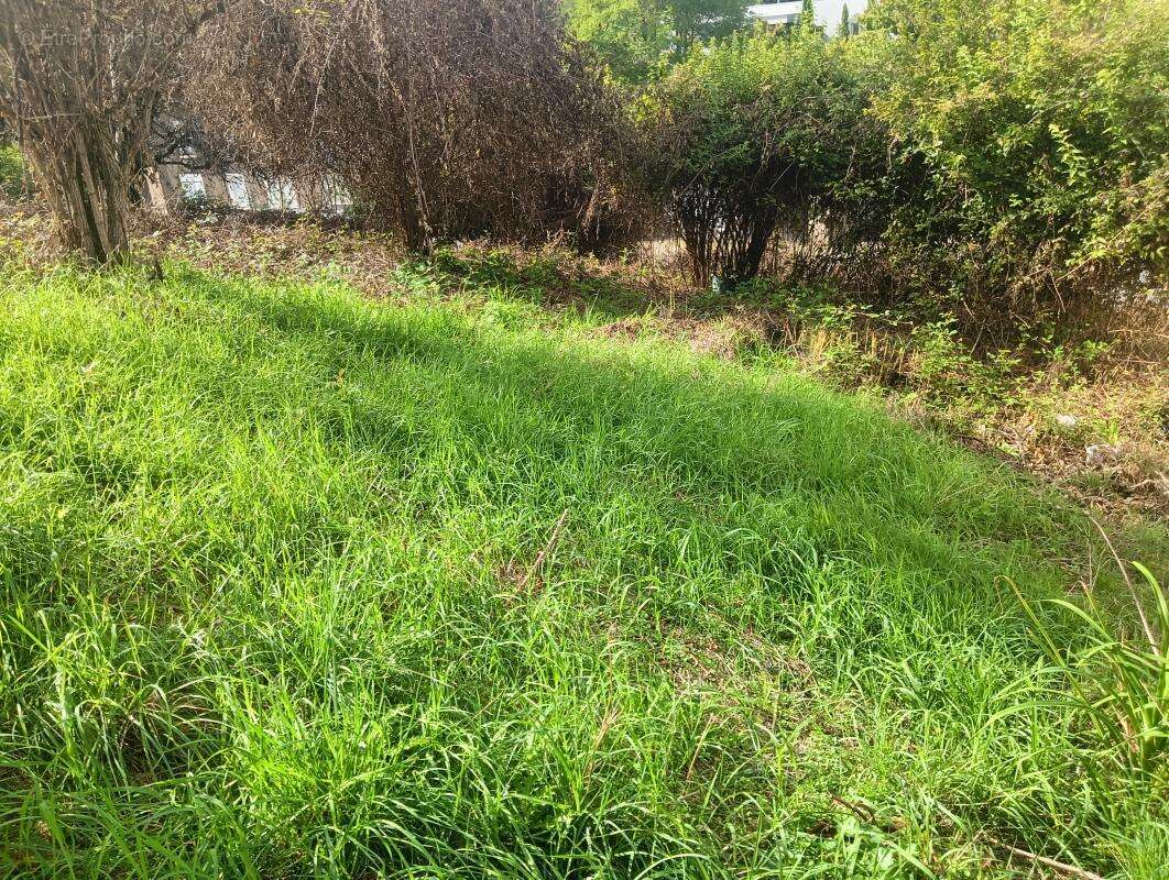 Maison à DECAZEVILLE