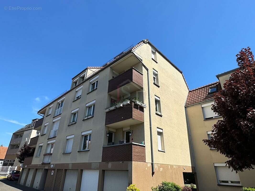 Commerce à SCHILTIGHEIM