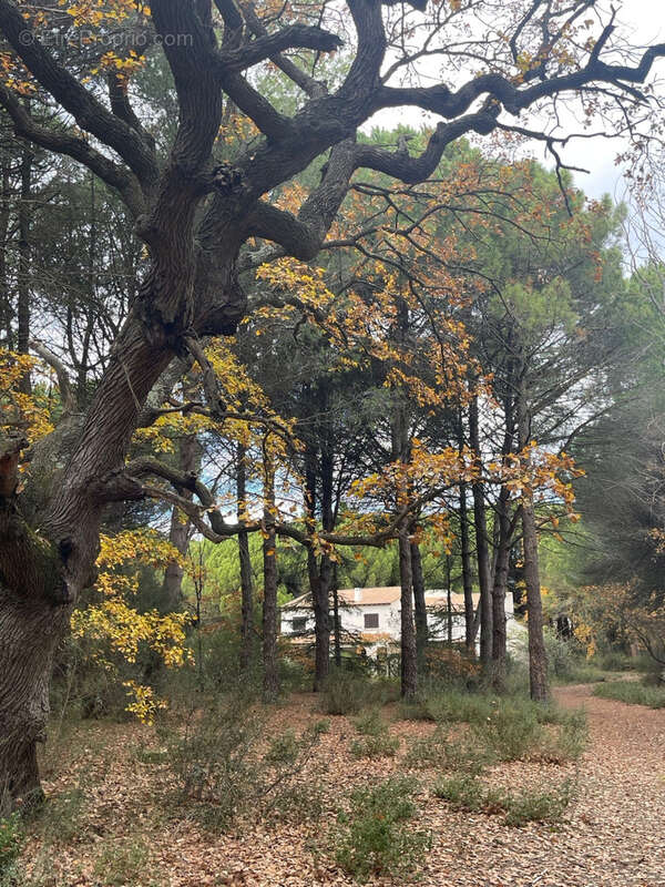 Maison à AIGUES-MORTES