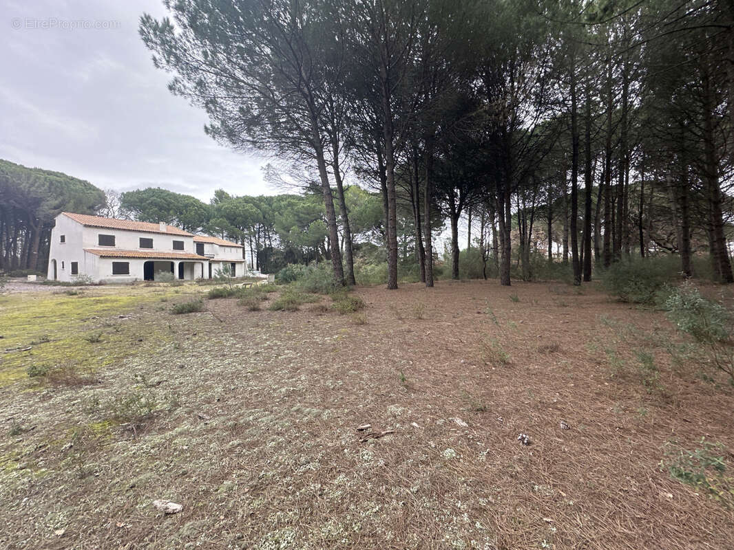 Maison à AIGUES-MORTES